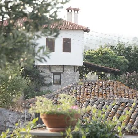 Efi & Zisis Villa Agios Nikolaos (Chalkidiki)