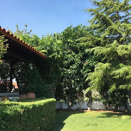 Efi & Zisis Villa *